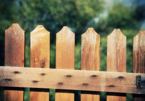 Fence Panels